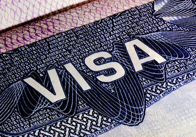 visa, immigration, research, H-1B, pandemic, coronavirus, collaboration, Trump, policy